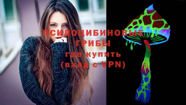МДПВ Горно-Алтайск