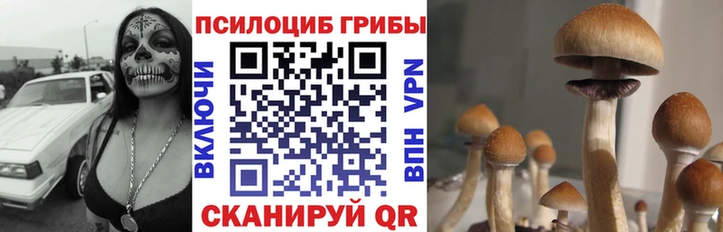 блэк спрут   Копейск  дарк нет официальный сайт  Галлюциногенные грибы прущие грибы 