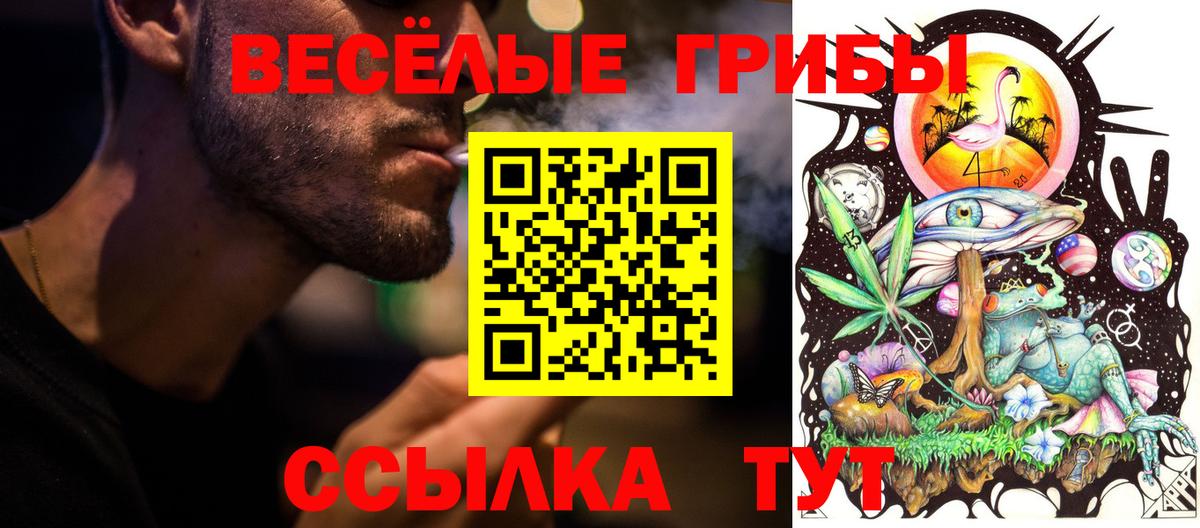 Копейск  сколько стоит  Вход с VPN  Псилоцибиновые грибы Psilocybine cubensis 